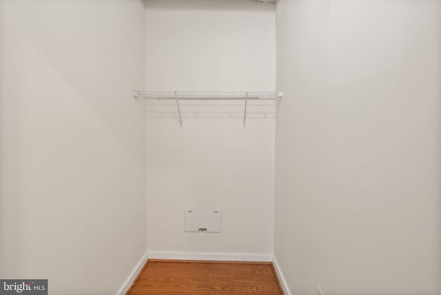 walk in closet featuring light wood-style flooring