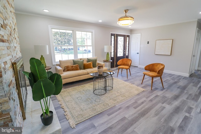 living room with ornamental molding, wood-type flooring, and a fireplace