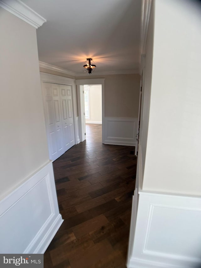 corridor featuring crown molding and dark hardwood / wood-style flooring