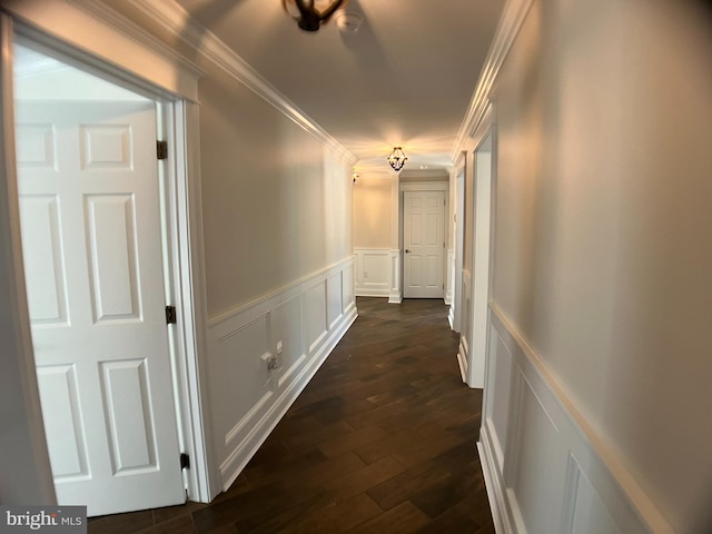 hallway with crown molding and dark hardwood / wood-style flooring