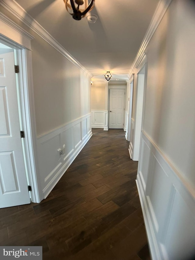 hallway with dark wood-type flooring and crown molding