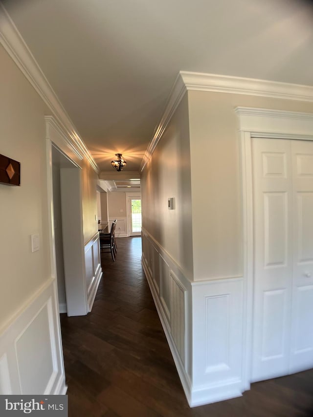 corridor with ornamental molding and dark hardwood / wood-style flooring