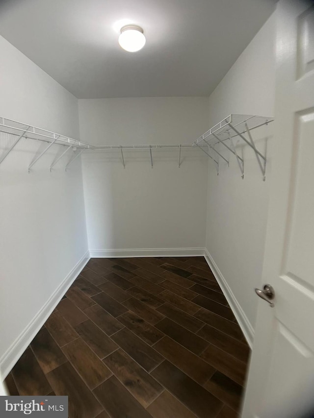 spacious closet with dark hardwood / wood-style floors