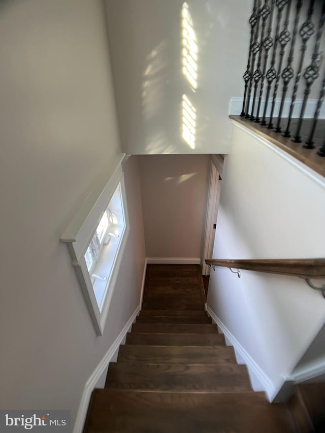 stairway featuring wood-type flooring