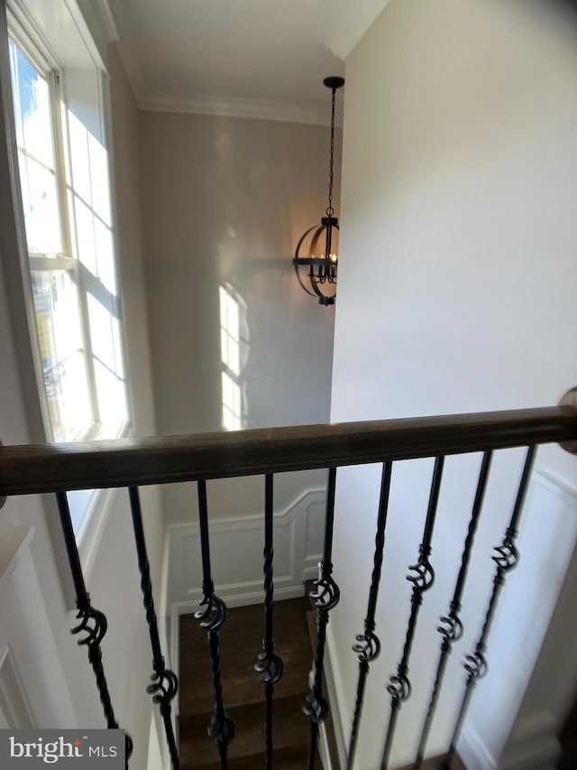 stairs with hardwood / wood-style flooring