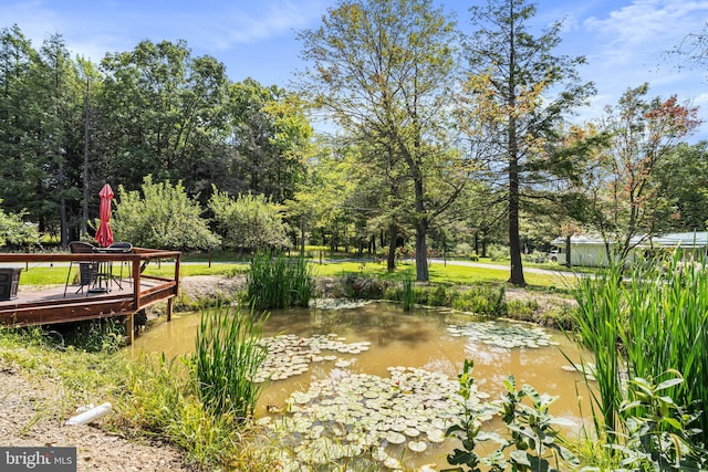 view of yard featuring a deck