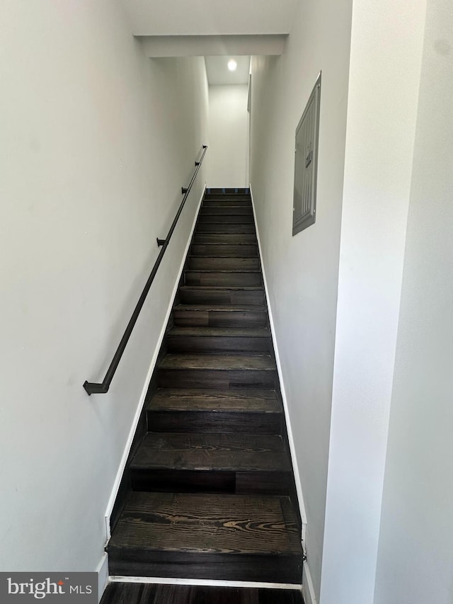 staircase featuring hardwood / wood-style flooring