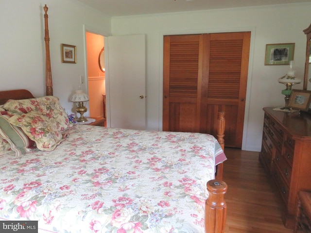 bedroom featuring dark wood-type flooring and a closet