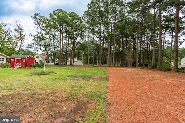 view of yard with a storage shed