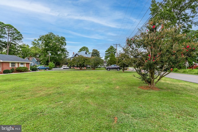 view of yard