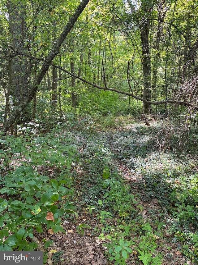 view of landscape