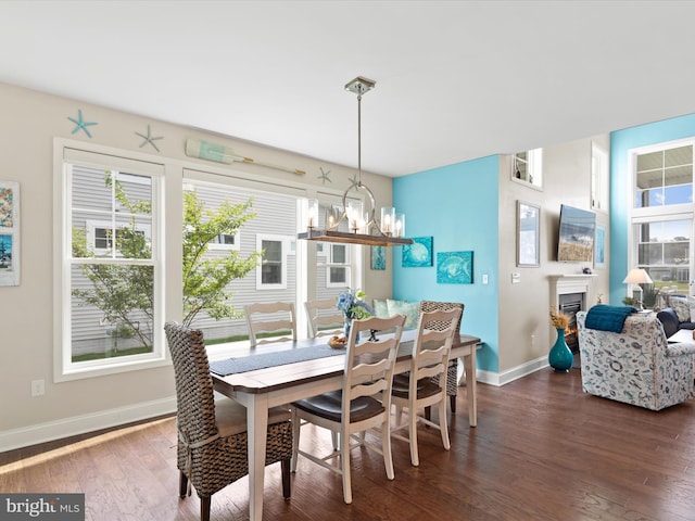 dining area featuring dark hardwood / wood-style floors and a wealth of natural light