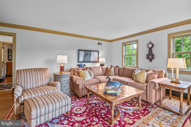 living room with ornamental molding, hardwood / wood-style floors, and a healthy amount of sunlight