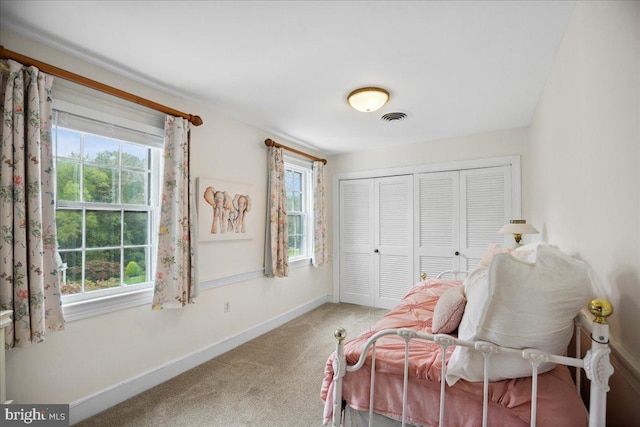 bedroom with multiple windows and carpet flooring