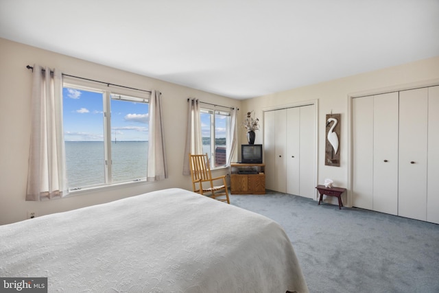 carpeted bedroom with multiple closets