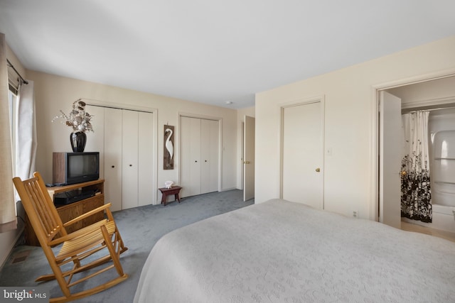 carpeted bedroom with two closets