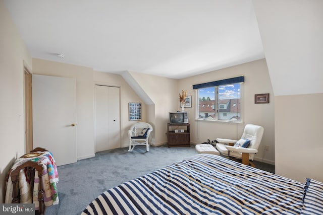 bedroom with a closet and carpet