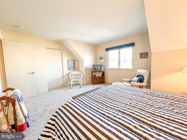 bedroom featuring carpet and a closet