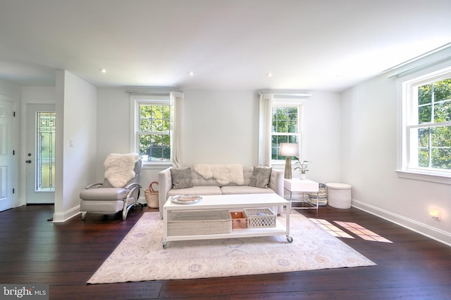 living room featuring a wealth of natural light and dark wood-type flooring