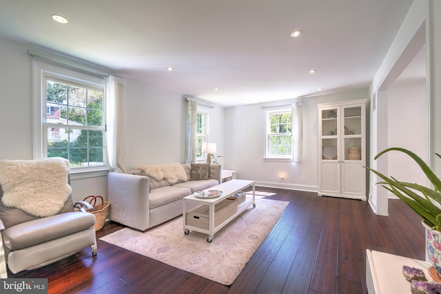 living room featuring plenty of natural light and dark hardwood / wood-style floors