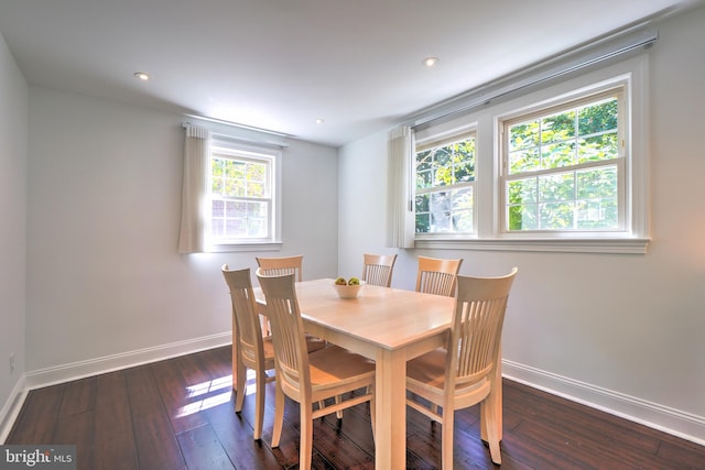 dining room with dark hardwood / wood-style flooring and a wealth of natural light