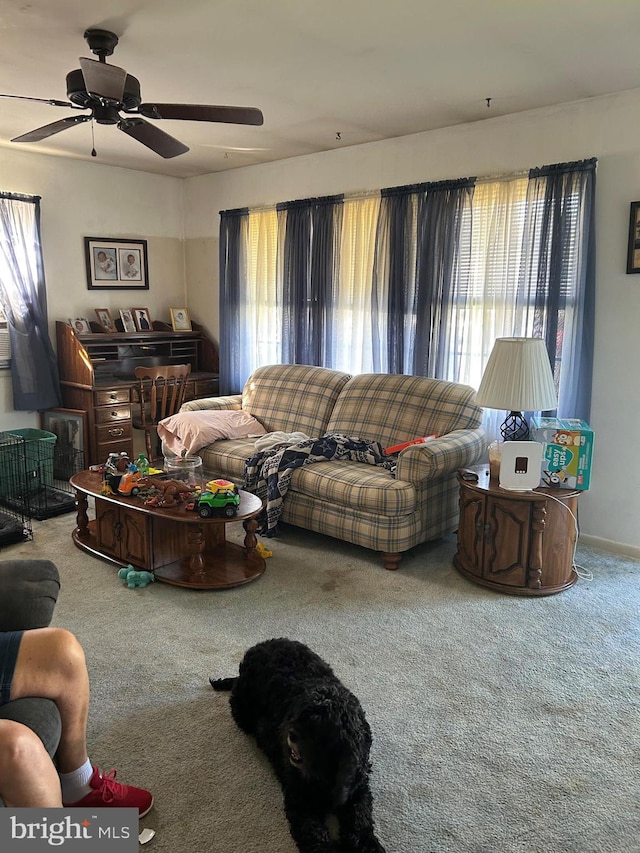 living area with a ceiling fan and carpet