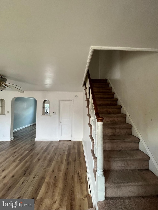 staircase with hardwood / wood-style floors and ceiling fan