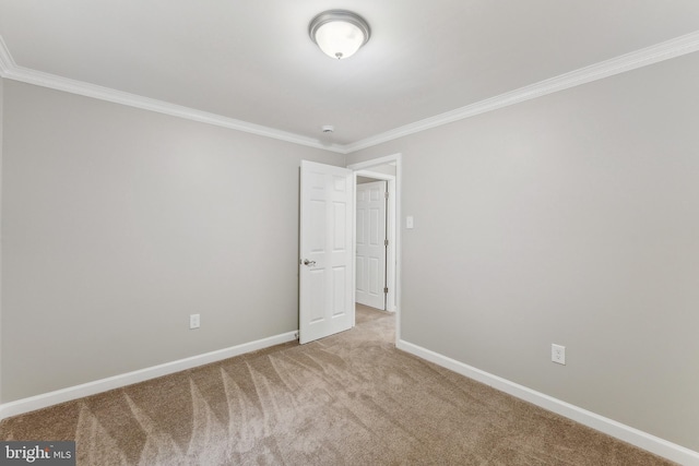 carpeted empty room with crown molding