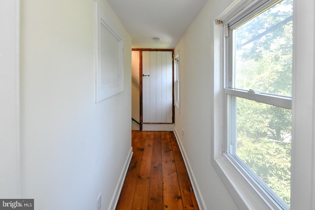 hallway featuring dark hardwood / wood-style floors