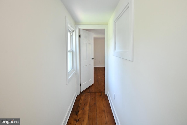 hall with dark hardwood / wood-style flooring and a healthy amount of sunlight