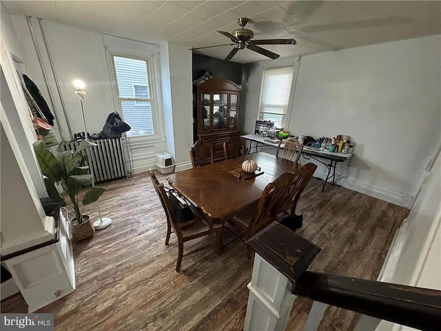 dining space with radiator, ceiling fan, and dark hardwood / wood-style floors