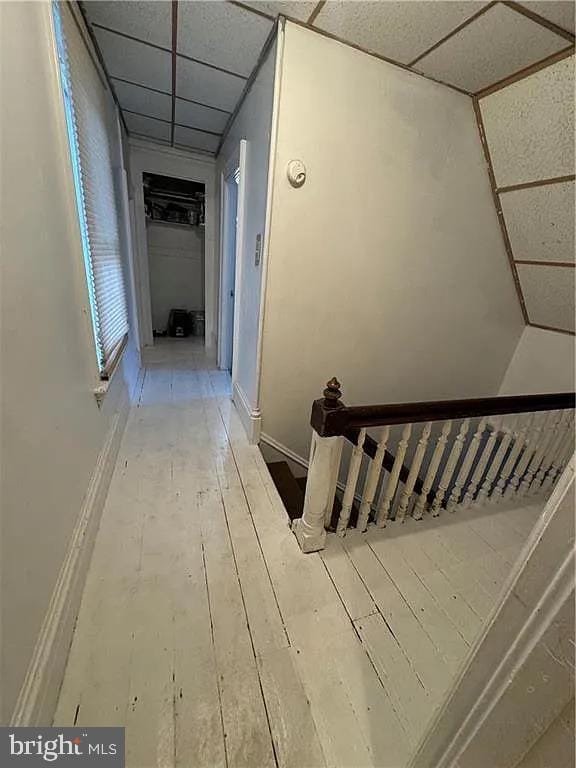 interior space featuring wood-type flooring and a paneled ceiling