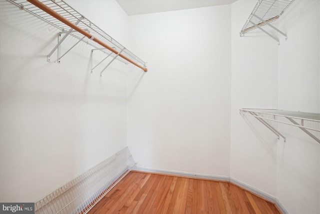 spacious closet with wood-type flooring