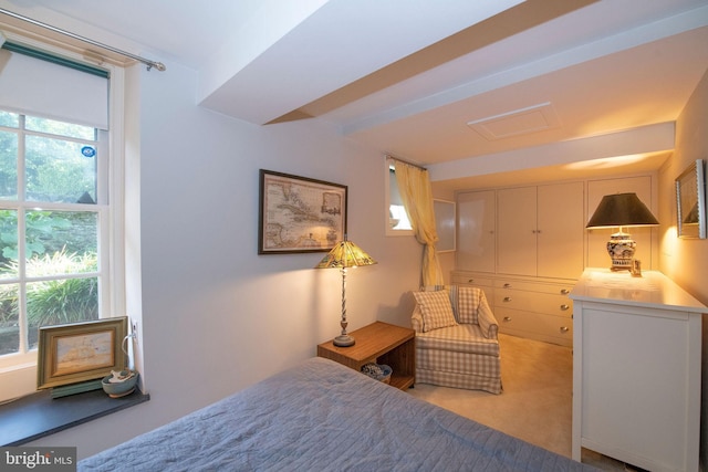 bedroom with carpet flooring