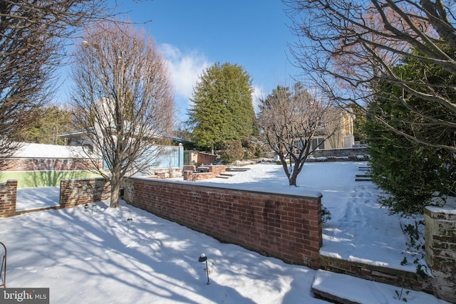 view of yard covered in snow