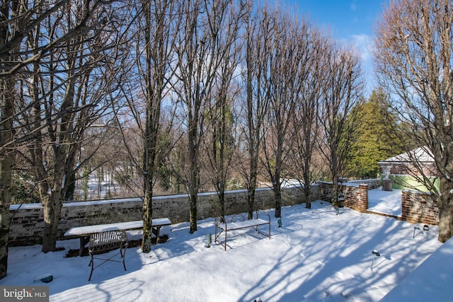 view of yard covered in snow