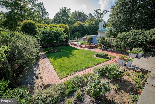 view of yard featuring a vegetable garden and a patio