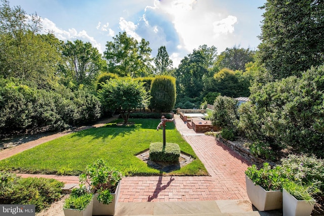 view of home's community with a yard and a garden