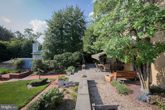 view of yard with a patio