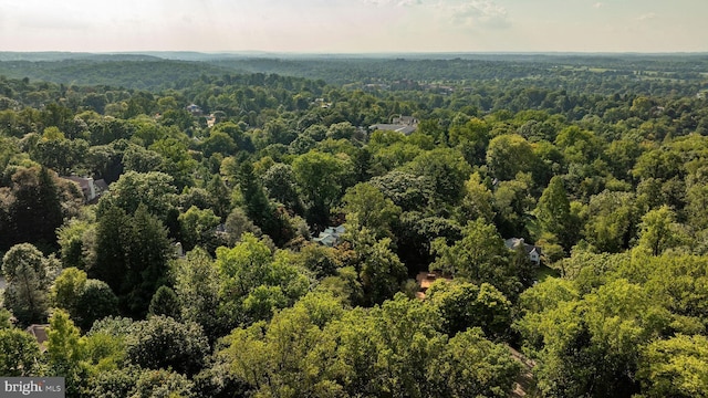 bird's eye view with a forest view