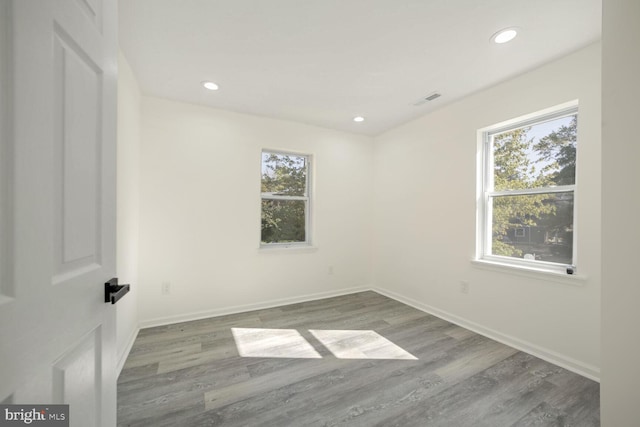 spare room featuring wood-type flooring