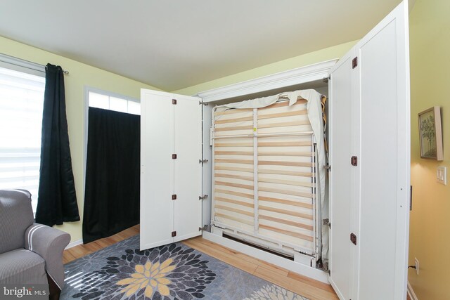 interior space featuring hardwood / wood-style floors