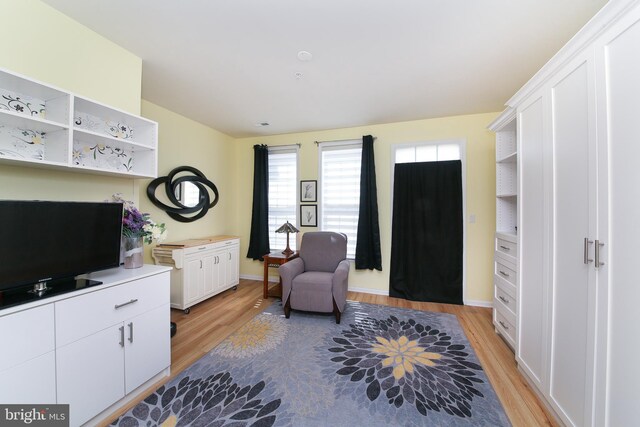 living area featuring light hardwood / wood-style flooring