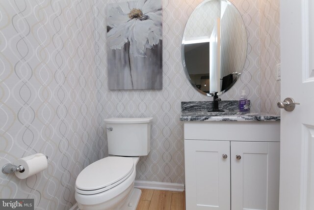 bathroom with vanity, toilet, and wood-type flooring