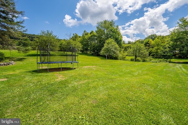 view of yard featuring a trampoline