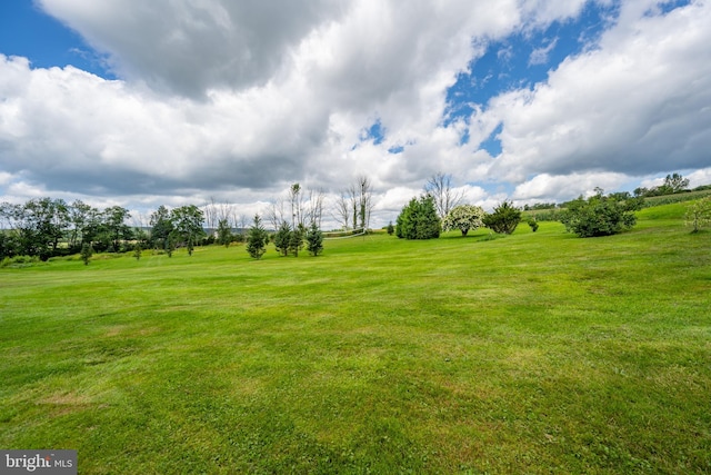 view of yard featuring a rural view