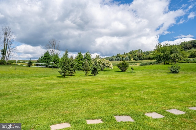 view of yard with volleyball court