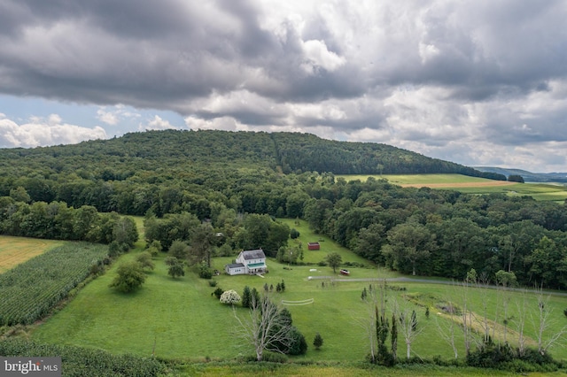 aerial view featuring a rural view and a mountain view