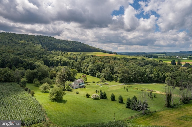 view of mountain feature with a rural view