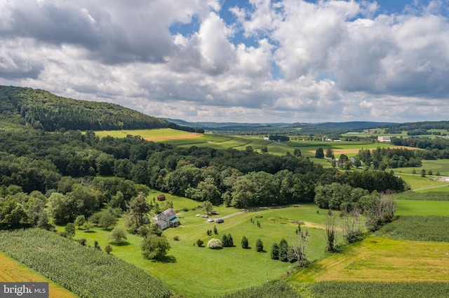 bird's eye view with a mountain view and a rural view